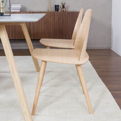Nimo尼摩 北欧餐椅设计师创意椅简约实木椅咖啡厅椅子个性电脑椅