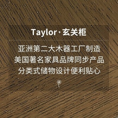 Taylor美式复古木质玄关柜门厅大容量收纳沙发边柜间厅柜